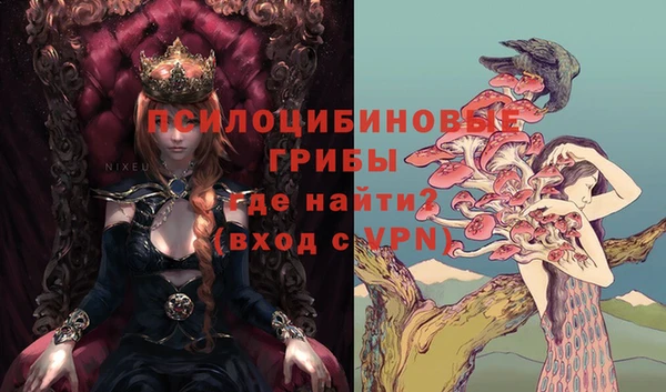 спиды Алексеевка