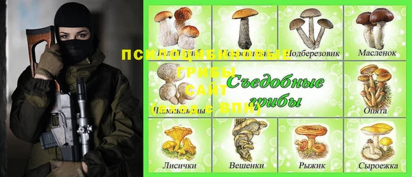 скорость Алексин