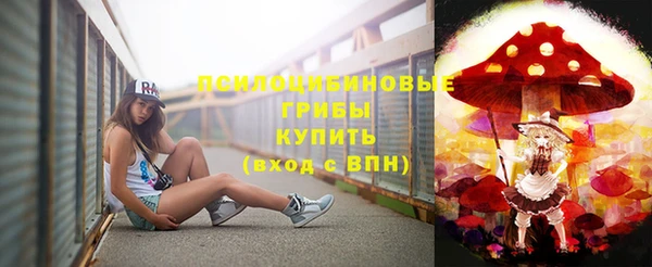 спиды Алексеевка