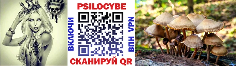Псилоцибиновые грибы прущие грибы  omg ТОР  Кольчугино 